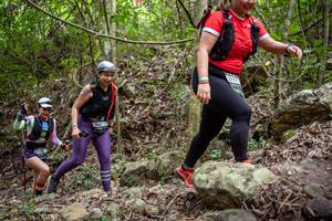 BIB: 
                            <button type="button" onclick="openModal(19381946)" class="btn btn-primary btn-sm float-right btn-popup" data-toggle="modal" data-target=".modal-high-quality">
                        <i class="fas fa-shopping-cart"></i> Add to Cart
                    </button>
                                            <button type="button" onclick="isThisMe(19381946, true)" class="btn btn-success btn-sm float-right btn-popup btn-isme hidden" data-toggle="tooltip" data-placement="bottom" title="นี่คือรูปของคุณใช่ไหม คลิกที่นี่เพื่อเอาเข้าอัลบั้ม">
                        <i class="fas fa-plus"></i> Add to album
                    </button>
                    <button type="button" onclick="isThisMe(19381946, false)" class="btn btn-warning btn-sm float-right btn-popup btn-isnotme hidden">
                        <i class="fas fa-ban"></i> Remove from album
                    </button>